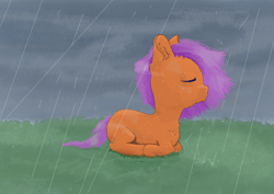 Size: 4960x3508 | Tagged: safe, artist:ha0s67, derpibooru import, oc, oc only, oc:regie falcon, pegasus, pony, lying down, ponyloaf, prone, rain, solo