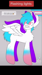 Size: 405x720 | Tagged: safe, oc, pony, big ears, blue hair, blue mane, blue tail, chest fluff, colored eyebrows, colored hooves, ear fluff, ears, gradient hooves, lgbt, lgbtq, pink eyes, ponified, pride, pride flag, raised eyebrow, raised eyebrows, smiling, solo, species swap, spread wings, tiktok, transgender, transgender pride flag, unnamed oc