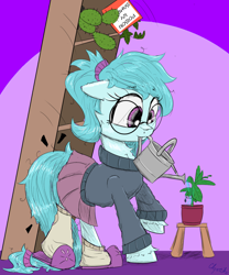 Size: 1650x1979 | Tagged: safe, artist:chopsticks, derpibooru import, oc, oc only, oc:whispy slippers, earth pony, pony, bump, cactus, cheek fluff, chest fluff, clothes, colored sketch, cute, ears, earth pony oc, falling, female, floppy ears, glasses, mare, mouth hold, ocbetes, plant, poison ivy, ponytail, simple background, sketch, skirt, slippers, socks, solo, stool, sweater, this will end in pain, this will end in tears, unshorn fetlocks, watering can