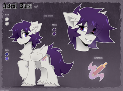 Size: 2300x1700 | Tagged: safe, alternate version, artist:zlatavector, derpibooru import, oc, oc only, oc:astral burst, pegasus, pony, bust, chest fluff, commission, cutie mark, ear fluff, ears, looking back, male, palette swap, recolor, reference sheet, smiling, solo, stallion