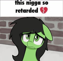 Size: 1283x1242 | Tagged: safe, artist:pizzahutjapan, derpibooru import, oc, oc:anon filly, earth pony, pony, female, filly, foal, frown, looking at you, meme, nigga, retarded, slur, solo, text, vulgar