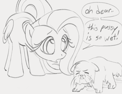 Size: 961x742 | Tagged: safe, artist:dotkwa, derpibooru import, fluttershy, cat, pegasus, pony, cute, dialogue, double entendre, female, gray background, grayscale, mare, monochrome, phrasing, shyabetes, simple background, sketch, speech bubble, wet