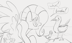 Size: 1166x707 | Tagged: safe, artist:dotkwa, derpibooru import, fluttershy, bird, pegasus, pony, booby, dialogue, double entendre, female, gray background, grayscale, mare, monochrome, simple background, sketch, spread wings, wings