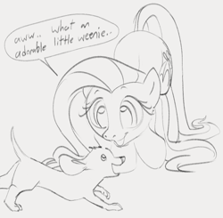 Size: 1003x981 | Tagged: safe, artist:dotkwa, derpibooru import, fluttershy, dog, pegasus, pony, butt, cute, dachshund, dialogue, double entendre, female, gray background, grayscale, mare, monochrome, open mouth, open smile, phrasing, plot, shyabetes, simple background, sketch, smiling, solo, speech bubble