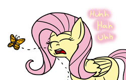 Size: 12000x7648 | Tagged: safe, artist:graymist, derpibooru import, fluttershy, butterfly, pony, colored, cute, eyelashes, eyes closed, female, innocent, mare, missing cutie mark, nostril flare, nostrils, open mouth, pre sneeze, simple background, sneezing, transparent background