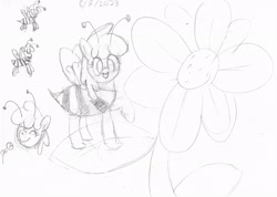 Size: 2508x1790 | Tagged: safe, artist:purppone, ponerpics import, cherry berry, bee, bee pony, insect, original species, pony, clothes, costume, flower, monochrome, sketch, sketch dump