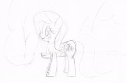 Size: 2429x1585 | Tagged: safe, artist:purppone, ponerpics import, fluttershy, pony, monochrome, sketch, solo, wingless