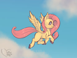 Size: 1024x768 | Tagged: safe, derpibooru import, fluttershy, pegasus, pony, chest fluff, cute, female, fluffy, flying, mare, missing cutie mark, solo, spread wings, unshorn fetlocks, wings