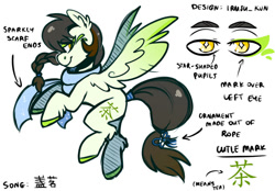 Size: 1072x745 | Tagged: safe, artist:lrusu, derpibooru import, oc, oc only, pegasus, pony, braid, clothes, colored hooves, colored wings, ear fluff, ears, female, flying, golden eyes, gradient mane, gradient tail, gradient wings, kanji, leg fluff, lidded eyes, looking back, mare, multicolored wings, notes, ponytail, scarf, simple background, smiling, solo, spread wings, tail, text, white background, wingding eyes, wings