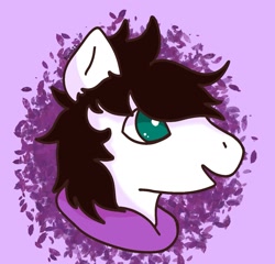 Size: 1315x1262 | Tagged: safe, artist:paint22, derpibooru import, oc, oc only, oc:markey malarkey, pony, bust, crossover, portrait, purple background, simple background, solo, the mark side