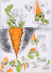 Size: 2871x4000 | Tagged: safe, artist:ja0822ck, derpibooru import, carrot top, golden harvest, pony, carrot, food, ponified, species swap, traditional art