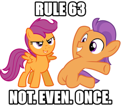 Size: 1481x1275 | Tagged: safe, derpibooru import, scootaloo, tender taps, earth pony, pegasus, pony, on your marks, caption, image macro, impact font, meme, not even once, rule 63, simple background, text, white background
