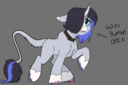 Size: 827x548 | Tagged: safe, artist:brainiac, derpibooru import, oc, oc only, oc:???, character concept, chest fluff, collar, female, gray background, implied transformation, mare, simple background, solo