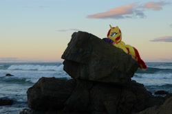 Size: 4928x3264 | Tagged: safe, artist:ponimalion, derpibooru import, sunset shimmer, alicorn, pony, unicorn, australia, beach, clothes, irl, photo, plushie, port macquarie, socks, solo, sunset, wings