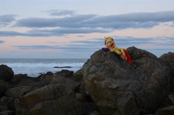 Size: 4928x3264 | Tagged: safe, artist:ponimalion, derpibooru import, sunset shimmer, alicorn, pony, australia, beach, clothes, irl, photo, plushie, port macquarie, socks, solo, sunset, wings