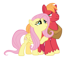 Size: 4500x3750 | Tagged: safe, anonymous artist, derpibooru import, big macintosh, fluttershy, earth pony, pegasus, pony, absurd resolution, bedroom eyes, blushing, duo, female, fluttermac, hoof on shoulder, looking at each other, looking at someone, male, mare, shipping, simple background, smiling, smiling at each other, stallion, straight, transparent background, vector