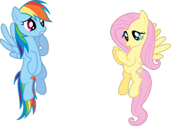 Size: 4000x2939 | Tagged: safe, artist:shutterflyyay, derpibooru import, fluttershy, rainbow dash, pegasus, pony, swarm of the century, .svg available, duo, female, flying, mare, simple background, transparent background, vector