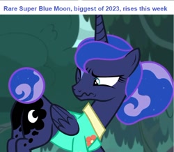 Size: 888x775 | Tagged: safe, derpibooru import, edit, edited screencap, screencap, princess luna, alicorn, pony, between dark and dawn, blue moon, butt, cropped, current events, cute, female, frown, looking back, lunabetes, mare, moon, moonbutt, one eye closed, plot, super moon, tail, tail bun, text, wavy mouth