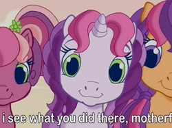 Size: 786x588 | Tagged: safe, derpibooru import, screencap, cheerilee (g3), scootaloo (g3), sweetie belle (g3), earth pony, pony, unicorn, g3, g3.5, twinkle wish adventure, caption, curse cut short, cute, dissonant caption, female, filly, flower, flower in hair, foal, i see what you did there, image macro, looking at you, text, trio, vulgar