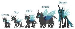 Size: 5000x1974 | Tagged: safe, artist:aleximusprime, derpibooru import, queen chrysalis, bug pony, changeling, changeling queen, insect, flurry heart's story, changeling behemoth, changeling brute, changeling drone, changeling elite, changeling spy, chonk, chunkling, concave belly, headcanon, headcanon in the description, height difference, insect wings, insectoid, physique difference, simple background, slim, tall, thin, transparent background, wings