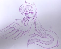 Size: 2048x1636 | Tagged: safe, artist:freyamilk, derpibooru import, rainbow dash, pegasus, pony, blushing, eyebrows, eyebrows visible through hair, female, lidded eyes, mare, monochrome, one wing out, open mouth, open smile, sketch, smiling, solo, sternocleidomastoid, traditional art, wings