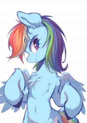 Size: 1535x2185 | Tagged: safe, artist:starbow, derpibooru import, part of a set, rainbow dash, pegasus, pony, g4, belly, belly button, chest fluff, colored hooves, cute, dashabetes, eyebrows, eyebrows visible through hair, female, fluffy, leg fluff, looking at you, mare, simple background, smiling, smiling at you, solo, spread wings, unshorn fetlocks, white background, wings
