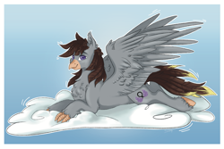 Size: 3447x2308 | Tagged: safe, artist:themstap, derpibooru import, oc, oc:luxor, classical hippogriff, hippogriff, chest fluff, cloud, looking at you, lying, simple background, smiling, solo, spread wings, wings