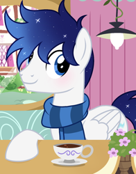 Size: 1080x1378 | Tagged: safe, artist:cstrawberrymilk, derpibooru import, oc, oc only, oc:moonlight dust, pegasus, pony, clothes, cup, male, scarf, solo, stallion, striped scarf, teacup