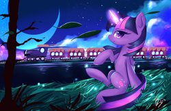 Size: 5100x3300 | Tagged: safe, artist:kawaiipony2, derpibooru import, twilight sparkle, twilight sparkle (alicorn), alicorn, pony, absurd resolution, crescent moon, female, folded wings, glowing, glowing horn, grass, horn, leaves, magic, mare, moon, night, night sky, outdoors, sitting, sky, solo, train, wings