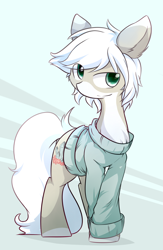 Size: 1250x1920 | Tagged: safe, artist:dshou, derpibooru import, oc, oc only, earth pony, pony, abstract background, clothes, coat markings, crossed hooves, eye clipping through hair, male, solo, stallion, sweater, white mane