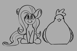 Size: 1026x683 | Tagged: safe, artist:aliceg, derpibooru import, fluttershy, bird, chicken, pegasus, pony, g4, female, gray background, grayscale, looking at you, mare, monochrome, pun, simple background, sitting, smiling, smiling at you, visual pun