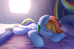 Size: 2400x1600 | Tagged: safe, artist:emeraldgalaxy, derpibooru import, rainbow dash, pegasus, pony, bed, bedroom, cute, dashabetes, eyebrows, eyes closed, female, folded wings, indoors, lying down, mare, old art, on bed, pillow, signature, sleeping, smiling, solo, wings