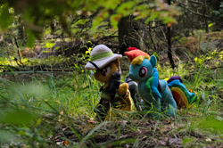 Size: 1097x728 | Tagged: safe, derpibooru import, daring do, rainbow dash, pegasus, pony, forest, handmade, irl, photo, plushie, ponies in real life