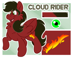 Size: 2500x2000 | Tagged: safe, artist:euspuche, derpibooru import, oc, oc only, oc:cloud rider, pegasus, reference sheet