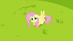 Size: 1920x1080 | Tagged: safe, derpibooru import, screencap, fluttershy, pegasus, pony, hurricane fluttershy, season 2, cute, ears, female, floppy ears, grass, looking up, lying down, mare, shyabetes, solo