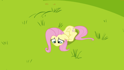 Size: 1920x1080 | Tagged: safe, derpibooru import, screencap, fluttershy, pegasus, pony, hurricane fluttershy, season 2, cute, ears, female, floppy ears, grass, looking down, mare, shyabetes, solo