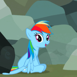 Size: 576x576 | Tagged: safe, derpibooru import, screencap, rainbow dash, pegasus, pony, may the best pet win, season 2, animated, cropped, female, gif, happy, mare, sitting, solo, tail, tail wag