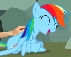 Size: 409x329 | Tagged: safe, derpibooru import, edit, edited screencap, screencap, rainbow dash, pegasus, pony, may the best pet win, season 2, back scratching, cropped, cute, dashabetes, female, hand, mare, sitting