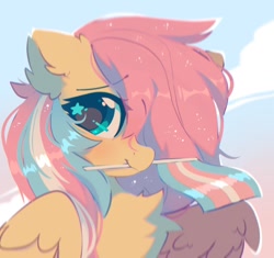 Size: 1302x1226 | Tagged: safe, artist:mirtash, derpibooru import, fluttershy, pegasus, pony, bust, chest fluff, dyed mane, looking at you, mouth hold, pride, pride flag, solo, starry eyes, transgender pride flag, wingding eyes, wings