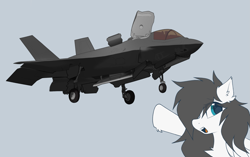 Size: 2081x1305 | Tagged: safe, artist:coarfdraw, derpibooru import, oc, oc only, oc:jet blast, pegasus, pony, chest fluff, current events, ear fluff, ears, f-35 lightning ii, floating, jet, jet fighter, jet plane, lockheed corporation, looking at you, meme, open mouth, plane, pointing, soyjak, wojak