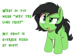 Size: 1150x850 | Tagged: safe, artist:thebatfang, derpibooru import, oc, oc only, oc:anon filly, earth pony, pony, confused, eyebrows, female, filly, foal, joke, open mouth, puzzled, raised eyebrow, simple background, solo, text, white background