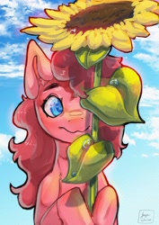 Size: 2894x4093 | Tagged: safe, artist:jaynsparkle, derpibooru import, pinkie pie, earth pony, pony, bust, flower, solo, sunflower