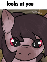 Size: 519x678 | Tagged: safe, artist:reddthebat, derpibooru import, oc, oc only, oc:number nine, earth pony, pony, close-up, eye clipping through hair, female, looking at you, mare, ponified animal photo, solo, text