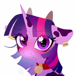 Size: 3000x3000 | Tagged: safe, artist:rtootb, derpibooru import, twilight sparkle, cow, cow pony, pony, unicorn, bell, bell collar, blushing, bust, closed mouth, collar, cowified, cute, digital art, ear tag, ears, embarrassed, female, horns, looking at you, mare, moo, no shading, portrait, purple eyes, simple background, solo, species swap, twilight sparcow