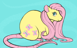Size: 800x500 | Tagged: safe, artist:diurnalcritters, derpibooru import, fluttershy, rat, cute, female, flutterrat, looking at you, shyabetes, smiling, smiling at you, solo, species swap