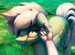 Size: 3918x2895 | Tagged: safe, artist:suhar, derpibooru import, princess celestia, oc, oc:summer breeze, human, pegasus, pony, anthro with ponies, ear rub, grass, grass field, hand, male, offscreen character, offscreen human, one eye closed, petting, smiling, stallion