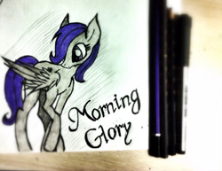 Size: 960x740 | Tagged: safe, artist:hysteriana, derpibooru import, oc, oc:morning glory, oc:morning glory (project horizons), pegasus, pony, fallout equestria, fallout equestria: project horizons, fallout, fanfic, fanfic art, folded wings, old art, pegasus oc, traditional art, wings