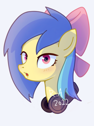 Size: 3000x4000 | Tagged: safe, derpibooru import, oc, earth pony, headphones