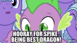 Size: 640x360 | Tagged: safe, edit, edited screencap, editor:undeadponysoldier, screencap, spike, thorax, changeling, dragon, the times they are a changeling, animated, best dragon, cheering, crystal guard, cute, edited gif, gif, gifs.com, happy, hooray, male, meme, royal guard, spikabetes, spikelove, stallion, text, thorabetes