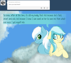 Size: 900x803 | Tagged: safe, artist:ask-mistypony, derpibooru import, fleetfoot, misty fly, pony, cloud